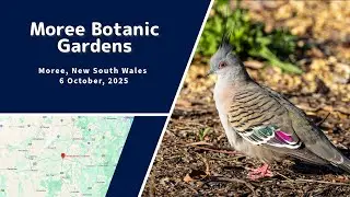 Moree Botanic Garden, Moree, NSW