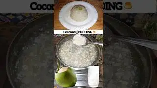 Coconut water🥥Pudding🍮#shorts #coconut #water #pudding #puddingrecipe #sweet #sonalimastercooking❤️😋