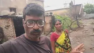 पुन्हा पावसाने बोंडे सडली, रानडुकरांनी नासाडी केली | Cotton Crop Damage | Wild Boar Attack in Farm