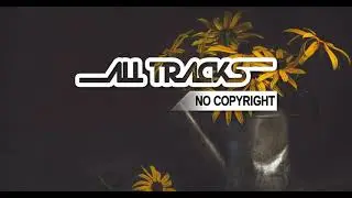 Punch Deck - Organic To Synthetic (ALL TRACKS No Copyright Music)