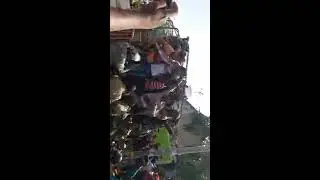 Ap special status protest near central park