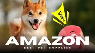 Plush Squeaky Dog Balls 🎾🐶 | 6 Pack of Interactive Fun for Puppies & Small Dogs!