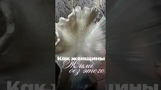 Как вам способ? ПК Арт на вб: #WW174367 [копируйте с WW] #уборка #лайфхак #чистота #чистыйдом