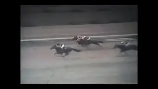 1969年天皇賞春　元祖怪物タケシバオー圧勝！　～ラジオ関東