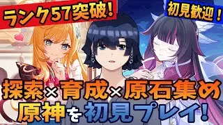【原神】ランク57突破！コロンビーナとイネファとヴァレサとシロネンの育成！ヌヴィレットとサンドローネとアリスとニコとファルカとシグウィンと雷電将軍と八重神子と心海に向けて原石集め！