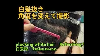 白髪抜き 角度を変えて撮影  plucking white hair　Refreshing !  白去掉　ไม่มีผมหงอก　Khong co toc b?c　拔白发　 nhổ t&oacute;c bạc