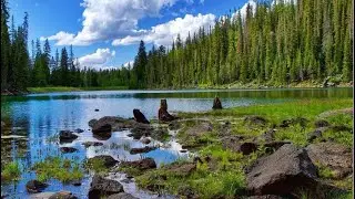 The Grand Mesa, Colorado #nature #adventure #explore #family #youtube #nocopyrightmusic #camping