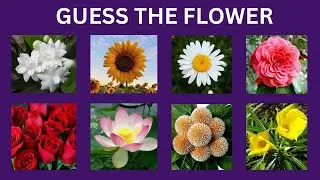 Can You Guess the Flowers? | Flower Names Quiz Game| Can you score 50/50?