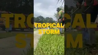 Tropical storm trimmer line #lawncare #lawn #tropicalstorm #fyp #shorts #shopping #foryou