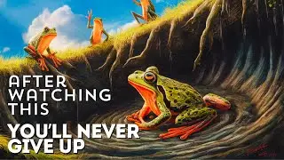 Believe in Yourself The Inspiring Frog Story