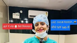 How does the egg 🥚 come out in IVF??? LIVE DEMO-Directly from IVF Lab @drshilpichauhanivfspecialist