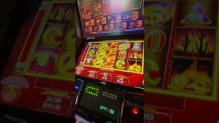 Original Mustang Money on a 50 line version! #slots #casino  #gambling  #slotmachine