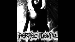 Perfect Denial - Бесконечная Боль (ex. ART.NO)