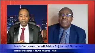 HNN:Barri 2025 akkam ture? Hawwii bara 2026  - rratti marii ADDAA Enj.Kamaal Ganamo waliinii