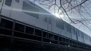 305系