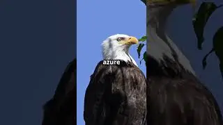 The Eagle by Alfred Lord Tennyson