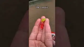 Они сделали мармеладки PIKMIN?! 🤯 #шорты