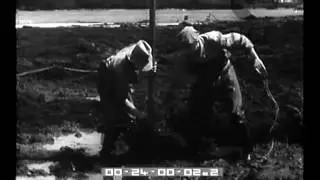 L'uso di esplosivi per bonificare e dissodare il terreno.