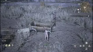 Bless Unleashed - Funny Ally NPC 2