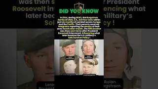 The Borgstrom Brothers: A U.S. Family&rsquo;s WW2 Tragedy #shorts