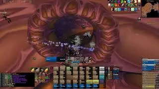 HOGS AQ 9/1/2025
