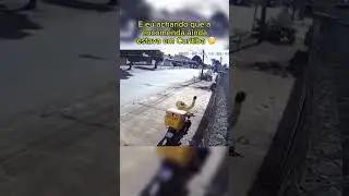 O motivo da sua encomenda n&atilde;o ter chegado