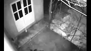 Fenomene ciudate pe cer in Romania!!! Meteorit deasupra cerului!!!