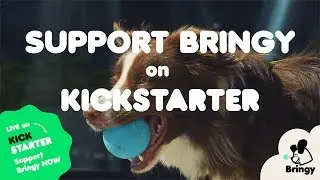 Bringy: A smart ball for smart dog owners! SUPPORT on KICKSTARTER!