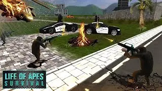 Apes Survival