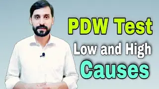 PDW Test (Platelet Distribution Width) | Causes of High and Low PDW