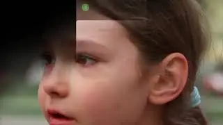 Theme Park Lost Child Alert