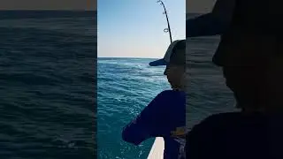 #fishing #marathon #pesca #pescaesportiva #shark #miami #hialeah