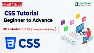 BOX Model in CSS | Important practical with margin and padding | Video #5