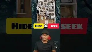 HIDE & SEEK ‼️