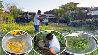 MASAGANANG ANI SA BUKID (BOSS AMPEL VLOGS)