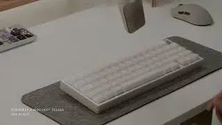 Divinikey x ModoKey Tess65 with Shortcut Studio SC Linear Switches Typing Test
