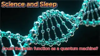 Could the brain function as a quantum machine | Science and Sleep