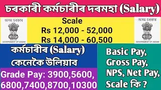 Pay Structure of Govt Employee || Salary Structure || Salary Calcularion || Pay Calculation