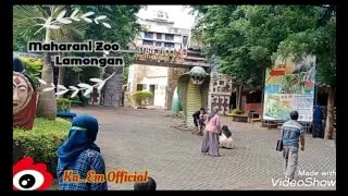 🎢🐊Jelajah Maharani Zoo 🐅🦌| Maharani Zoo terbaru🦍 | WBL | lamongan🪨