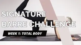 Full Length Total Body Barre Workout | 30 Minutes | No Equipment | Your Barre Studio