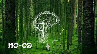 Happy classical study music | Piano music | Earthly Heaven - Relaxing Music