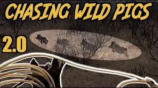 FIRST RIDE ON COLT and GATHERING THE BIG PEN - Rodeo Time 292