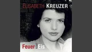 Feuer k&uuml;sst Eis