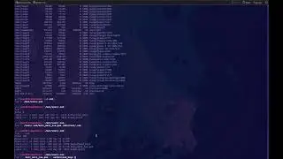 Metasploitable2 Exploit 5