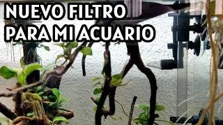 ¿Por qué he comprado el filtro Oase Filtosmart 100?
