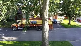 Trash Collection 9/18/20