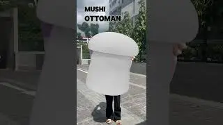 POV: You just discovered a mushroom with a job. 🍄🪑  #zestlivings #singapore
