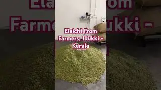 7mm Cardamom available at wholesale rates Idukki, Kerala. #wholesale #mandi #cardamom #market #Delhi