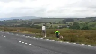 The worst sheep rustlers (shaggers) ever!!!!