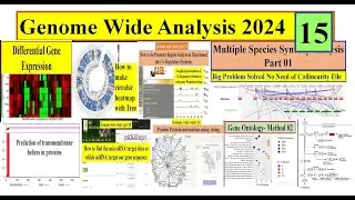 Genome wide analysis Genome wide study 2024 Part 15